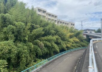 宮城県 竹伐採工事