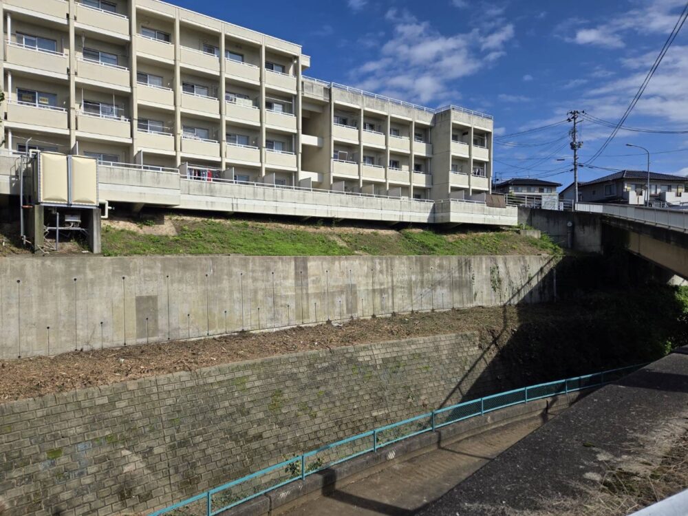 宮城県 竹伐採工事