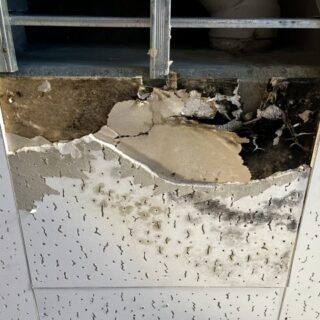 仙台市内装解体時のカビ・老朽化対策～安全で快適なリフォーム準備のために