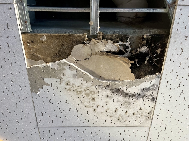 仙台市内装解体時のカビ・老朽化対策～安全で快適なリフォーム準備のために