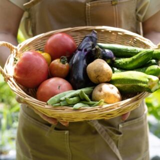 仙台市解体後の土地を庭や家庭菜園にするアイデア集