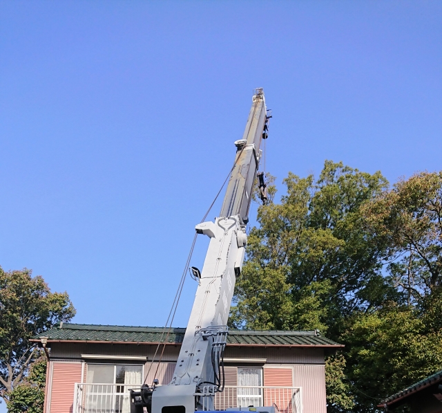 仙台市隣家トラブルになる前に!仙台市で庭木伐採を行うべきサイン