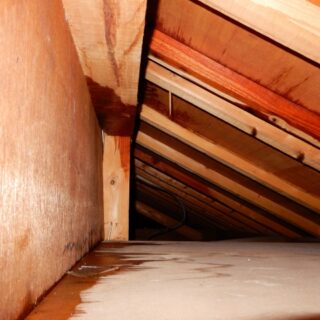 仙台市 雨漏りが原因で解体が必要になった家の特徴