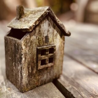 仙台市 室内のカビ・老朽化が原因で内装解体が必要になるケース