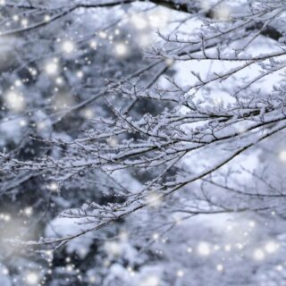 仙台市 冬の解体工事が遅れやすい理由