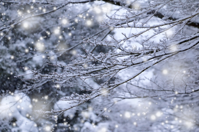 仙台市 冬の解体工事が遅れやすい理由