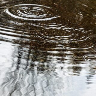 仙台市 外構工事で水たまりができた原因とは？