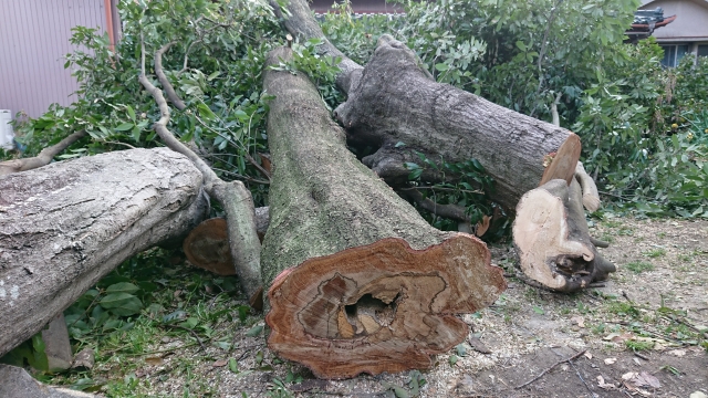 重機が入らない庭の伐採方法とは？