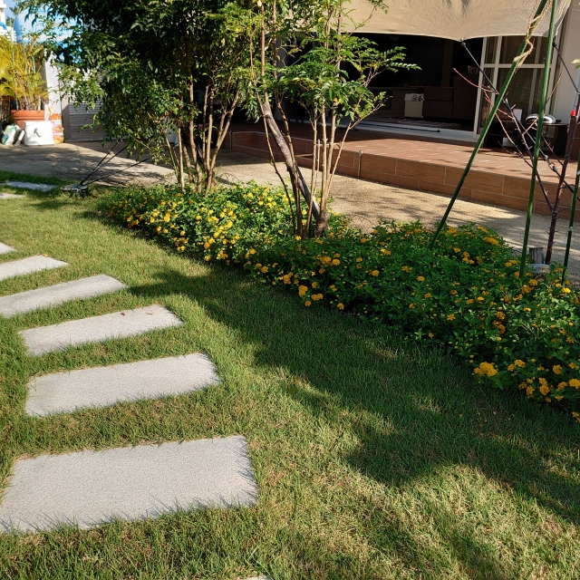 春はチャンス！雑草対策と外構工事のベストタイミング