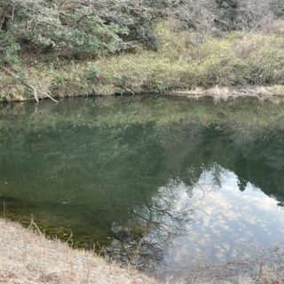 ため池の解体はできる？撤去の流れ・費用・注意点を解説