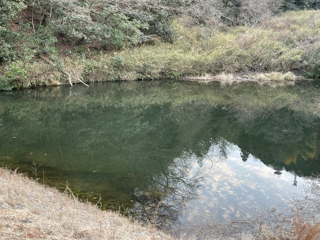 ため池の解体はできる？撤去の流れ・費用・注意点を解説