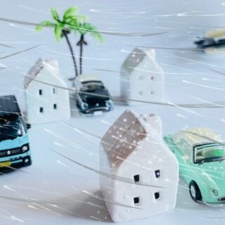 台風前に伐採しておきたい木の特徴